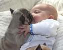 dog-and-baby-pictures-2043