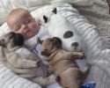 dog-and-baby-pictures-2045