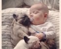 dog-and-baby-pictures-2047