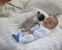 dog-and-baby-pictures-2049