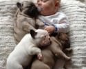dog-and-baby-pictures-2050
