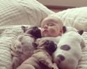 dog-and-baby-pictures-2051