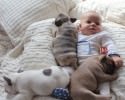 dog-and-baby-pictures-2052
