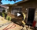 firefighter-saves-kitten-from-burning-house-video