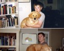 before-and-after-pictures-of-animals-3105