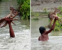 young-boy-saves-fawn-from-drowning-2974
