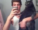cats-taking-selfies-awesomelycute-com-3409