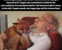 people-doing-amazing-things-for-animals-03161