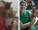 portraits-of-rescued-animals-before-and-after-3230