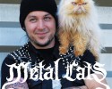 heavy-metal-cats-awesomelycute-com-3456