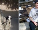 awesomelycute-com-before-and-after-pictures-of-dogs-growing-up-4252