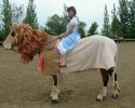 best-horse-customs-awesomelycute-com-4243