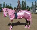 best-horse-customs-awesomelycute-com-4259