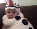 cute-halloween-costumes-for-babies-10-16-2014-13