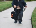 cute-halloween-costumes-for-babies-10-16-2014-20