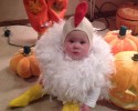 cute-halloween-costumes-for-babies-10-16-2014-4