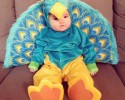 cute-halloween-costumes-for-babies-10-16-2014-7