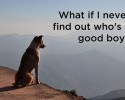 what-dogs-are-really-thinking-10-06-2014-10