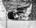 abandoned-yorkie-takes-care-of-two-stray-kittens-7