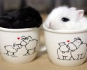 cup-of-cuteness-14