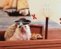 humphrey-the-hedgehog-adventures-13