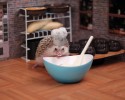 humphrey-the-hedgehog-adventures-14