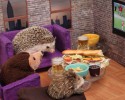 humphrey-the-hedgehog-adventures-6