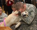 soldiers-and-animals-11-01-2014-17