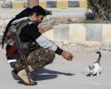 soldiers-and-animals-11-01-2014-19