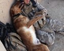 soldiers-and-animals-11-01-2014-21