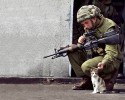 soldiers-and-animals-11-01-2014-22