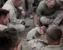 soldiers-and-animals-11-01-2014-26