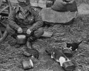 soldiers-and-animals-11-01-2014-4