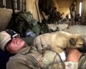 soldiers-and-animals-11-01-2014-8