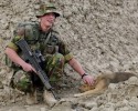 soldiers-and-animals-11-01-2014-9