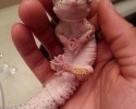 cute-baby-reptiles-16