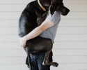 tallest-dogs-9