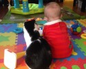 friendly-cats-towards-babies-2