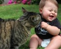 friendly-cats-towards-babies-5