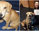 before-and-after-pictures-of-pets-who-have-been-adopted-2