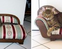 cats-growing-up-before-and-after-pictures-10