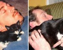 cats-growing-up-before-and-after-pictures-13