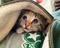 cute-animals-posted-at-awesomelycute.com-14