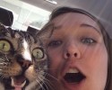these-animals-look-like-they-hate-selfies-10