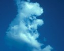 clouds-that-look-like-animals-12