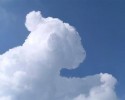 clouds-that-look-like-animals-14