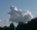 clouds-that-look-like-animals-5