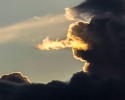 clouds-that-look-like-animals-9