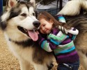 dogs-showing-unconditional-friendship-8