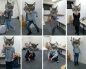 freaky-large-fake-cat-head-awesomelycute.com-3